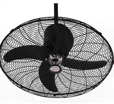 Royal Bracket Fan 1