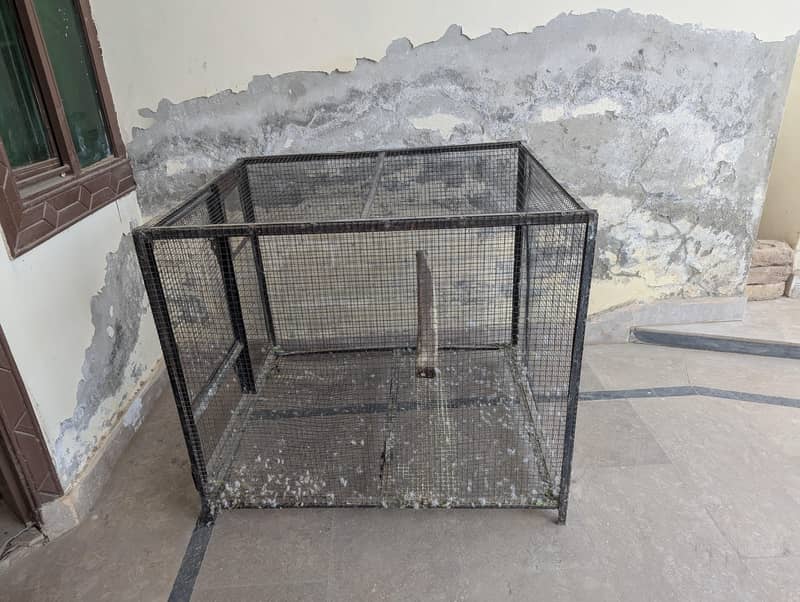 Big Cage 0