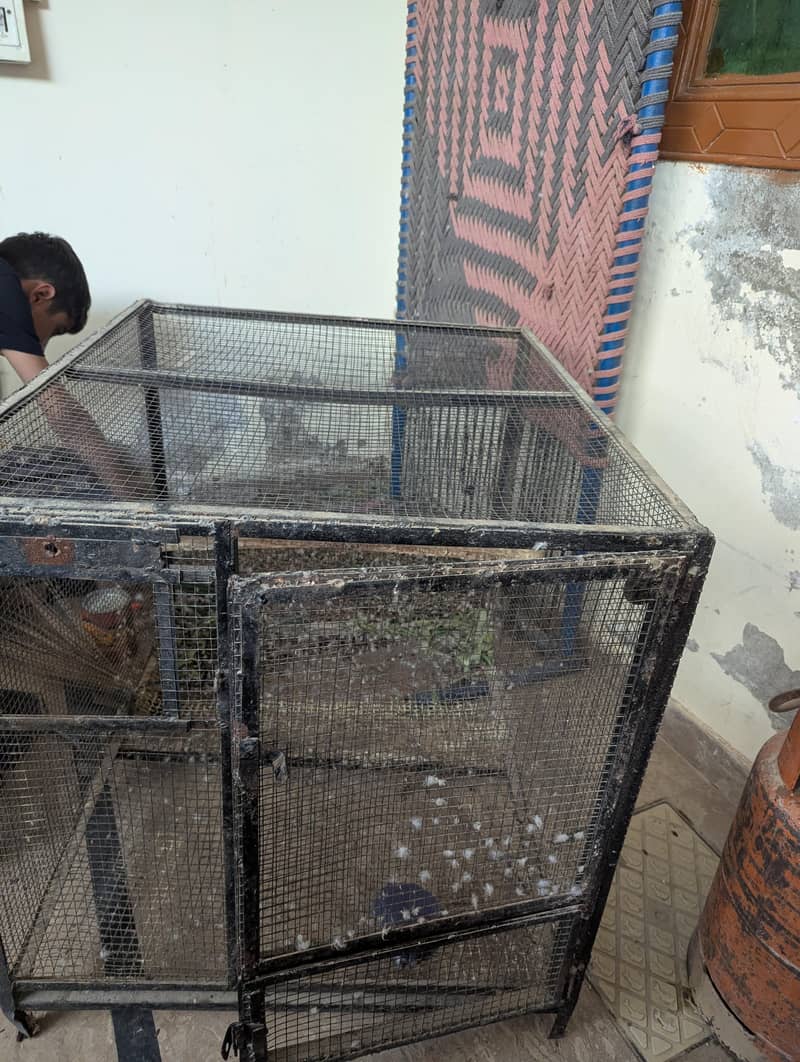 Big Cage 1