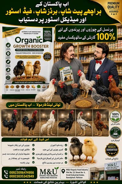 birds feed booster