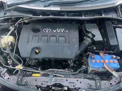 Toyota carolla red vine