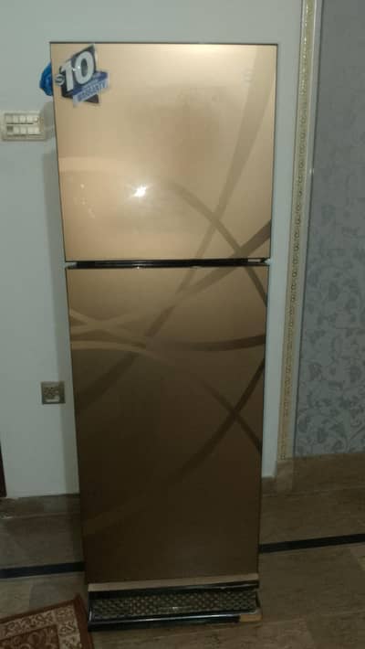 PEL Glass Door Refrigerator