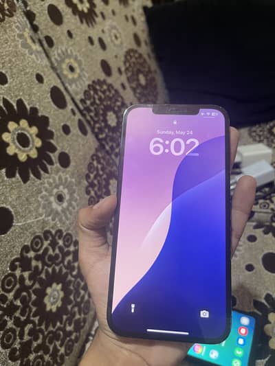 Apple iPhone 12 Pro Max