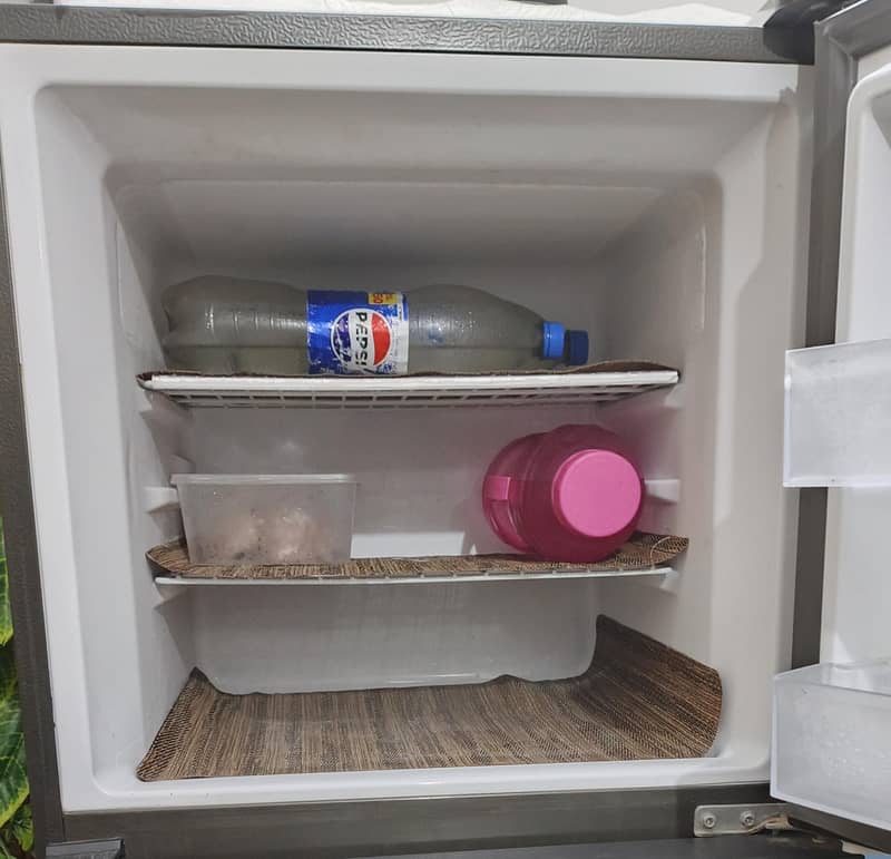 fridge 6
