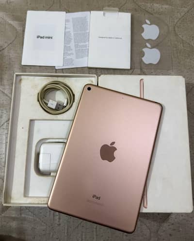 iPad Mini 5 64gb Complete Box