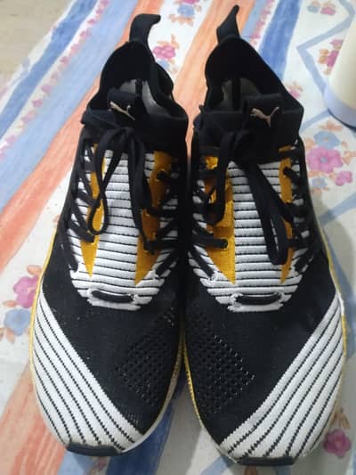 puma ignite shoes 8 number