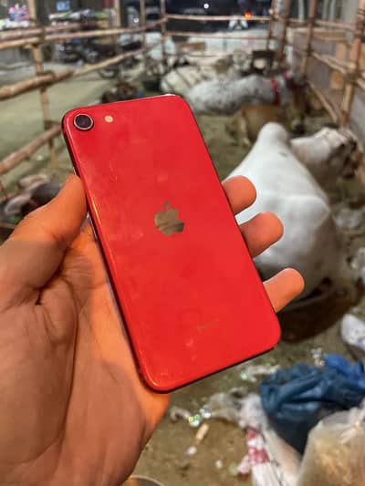 Iphone SE 2020 Non Pta FU