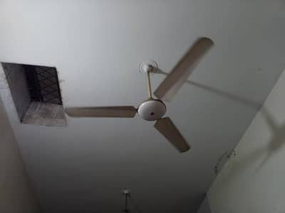 ceiling fan
