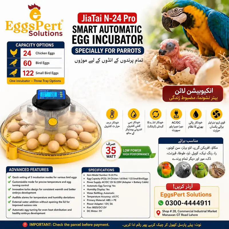 Eggs Incubator ,Brooders  whole Sales Models Full Automatic Digital — photo 8