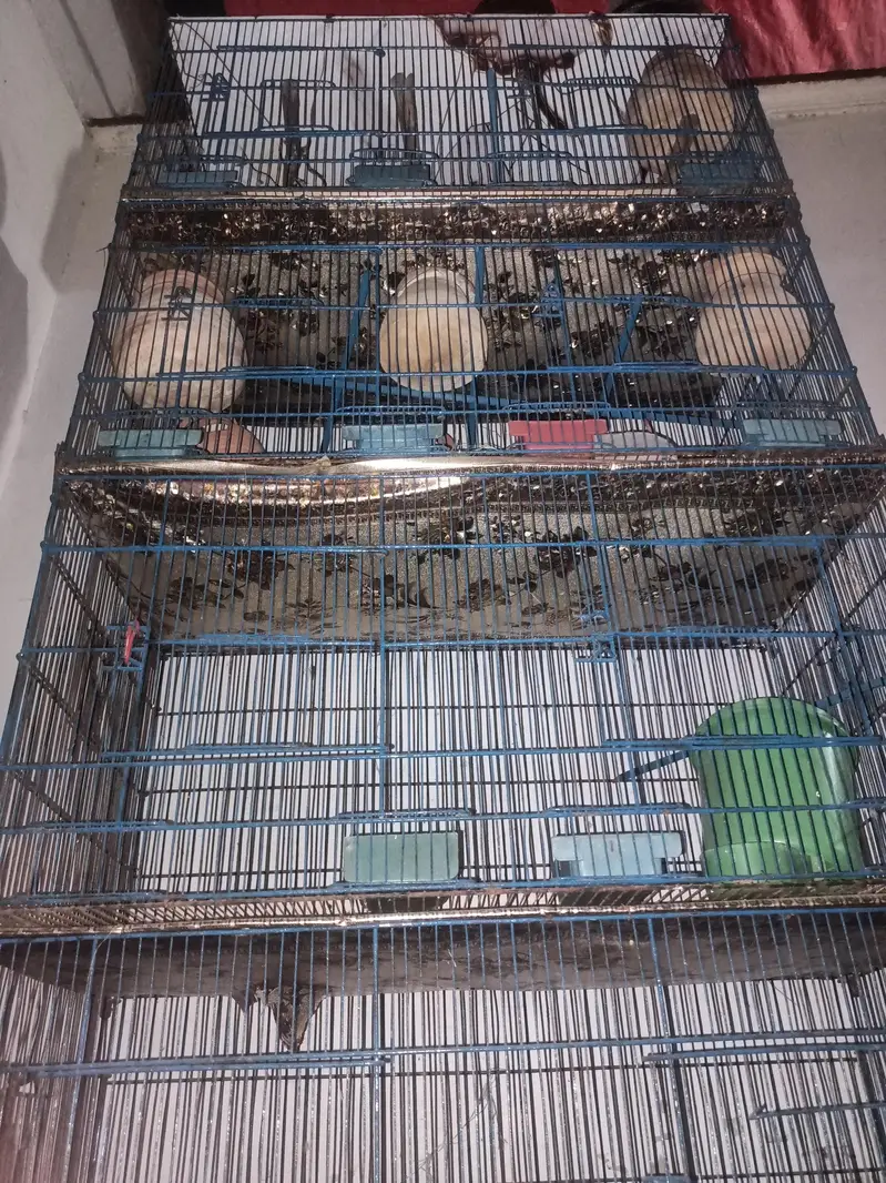 Cage for braids and Hans — photo 5