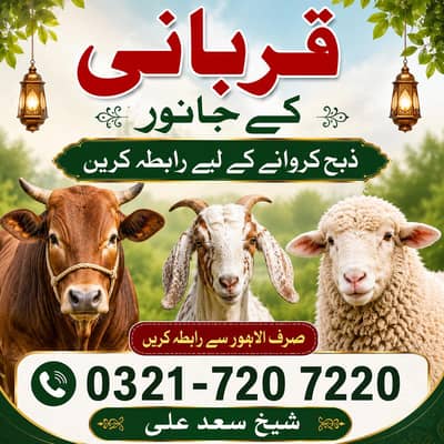 Qurbani Kay janwar Zibah Karwanay Kay liya Rabta Karen