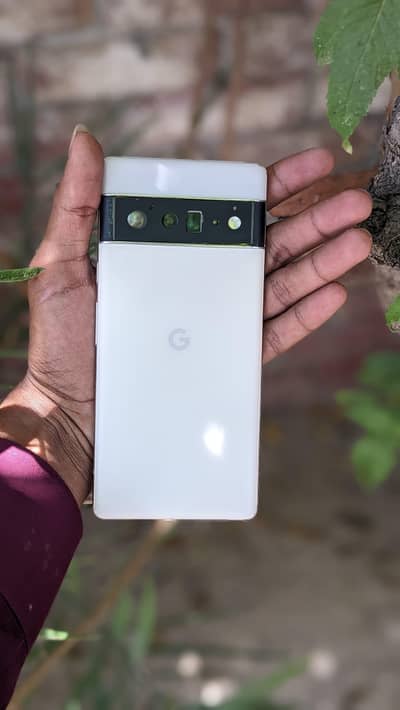 google pixel 6pro