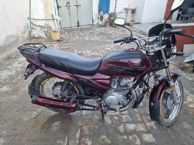 YBZ Modal 2020
