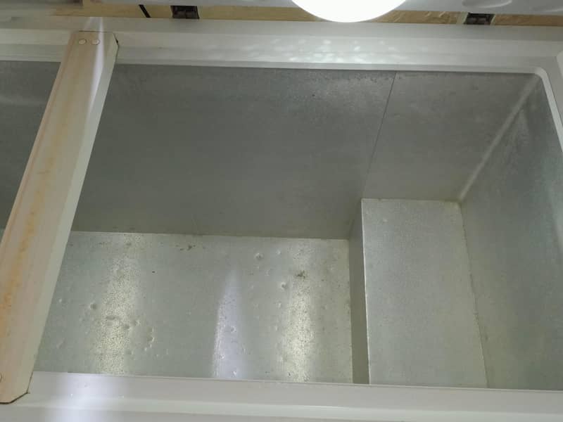 D freezer 5