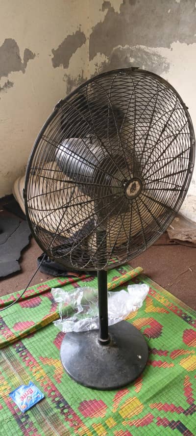 10000