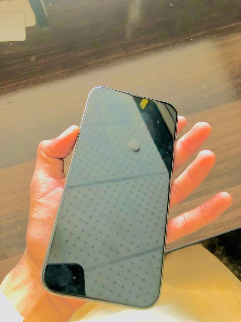 Iphone 13 pro max 1