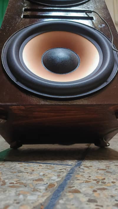 10inch 2 subwoofer