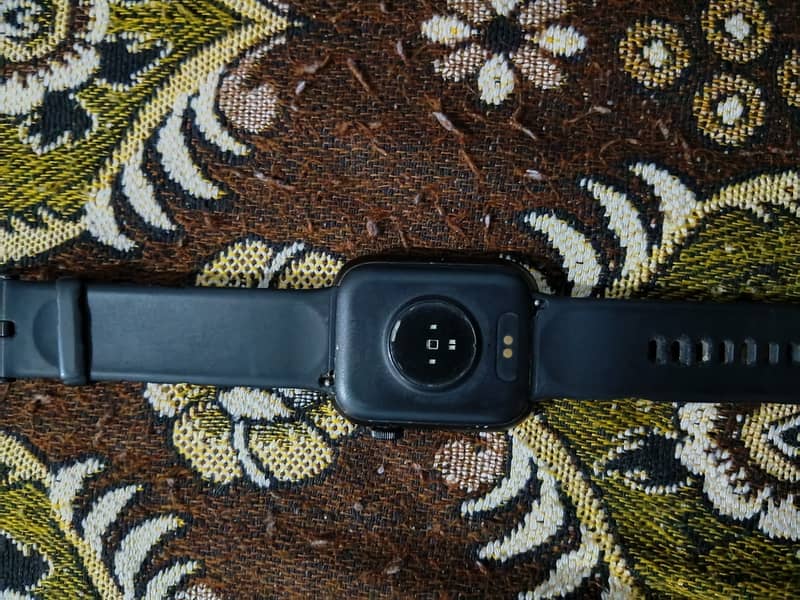 Dany loop pro 2
