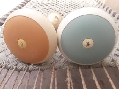SK ceiling fans
