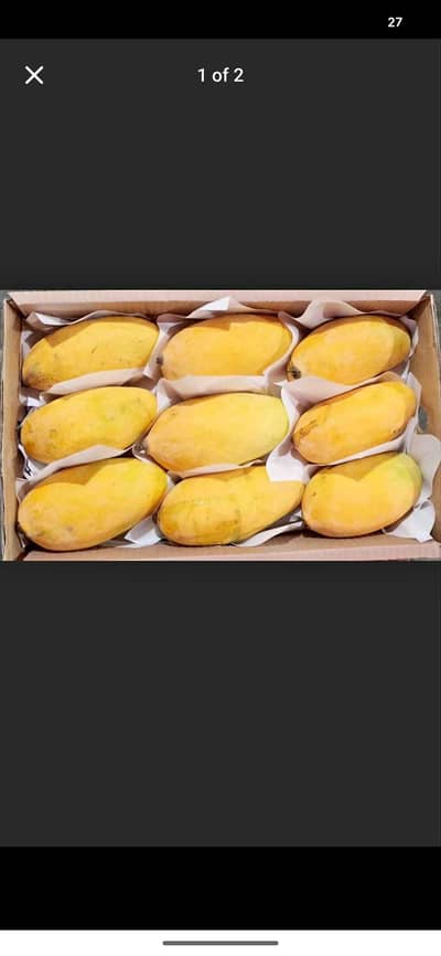 10 kg premium Sindhri Mango gift Box