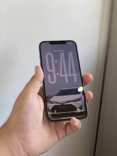 12 Pro Max (512gb)