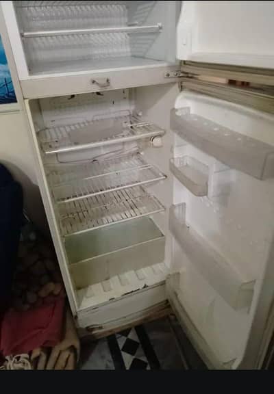 pel fridge