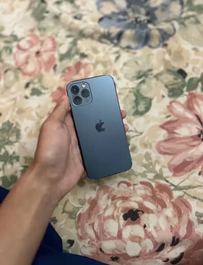 Apple iPhone 12 Pro non pta 266gb