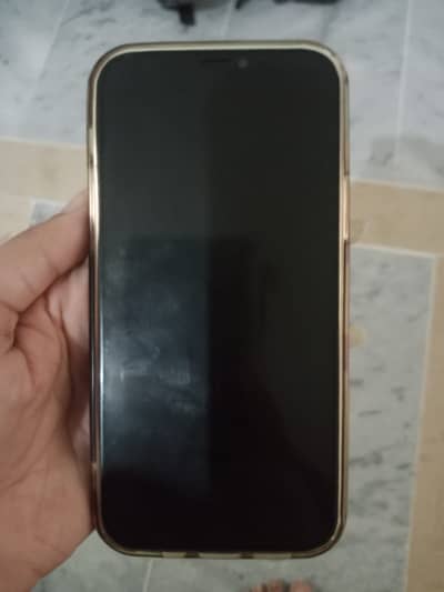 Apple iPhone 12 pro