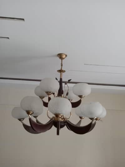Large Size Fanus 12 Bulb