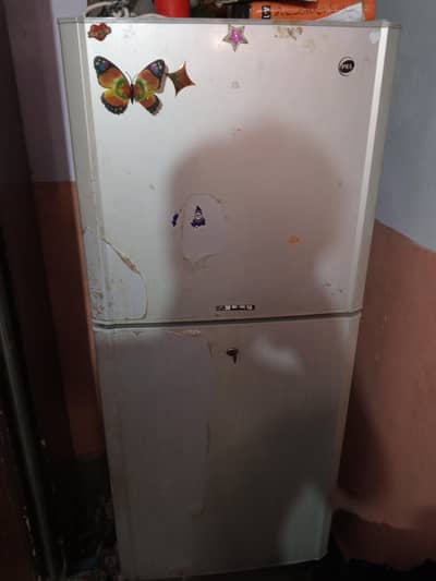 pel  ki freezer chamber damage hai
