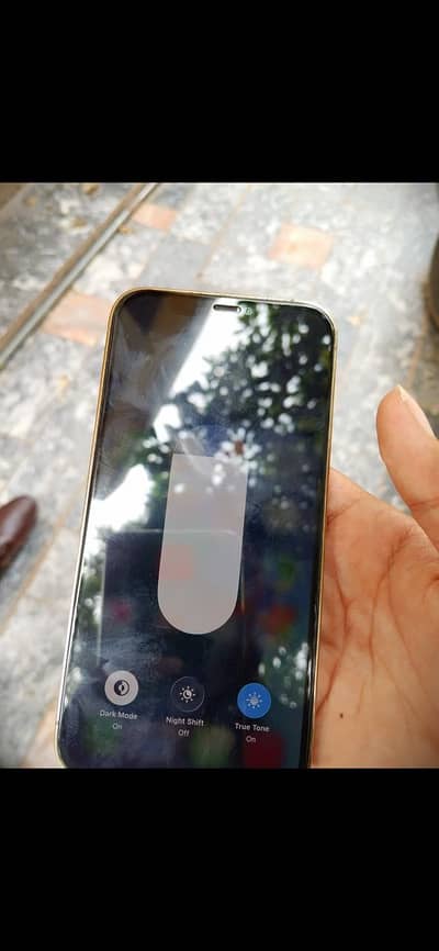 Apple iPhone 12 Pro