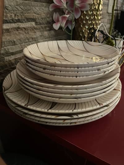 Slightly used malamine plates