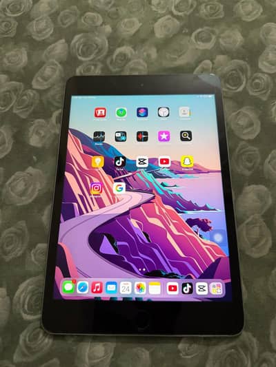 apple ipad mini 4