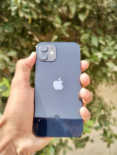 Iphone 12 10 by 10