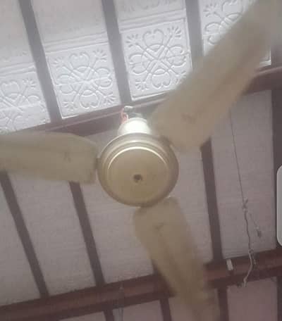 fan chat wala