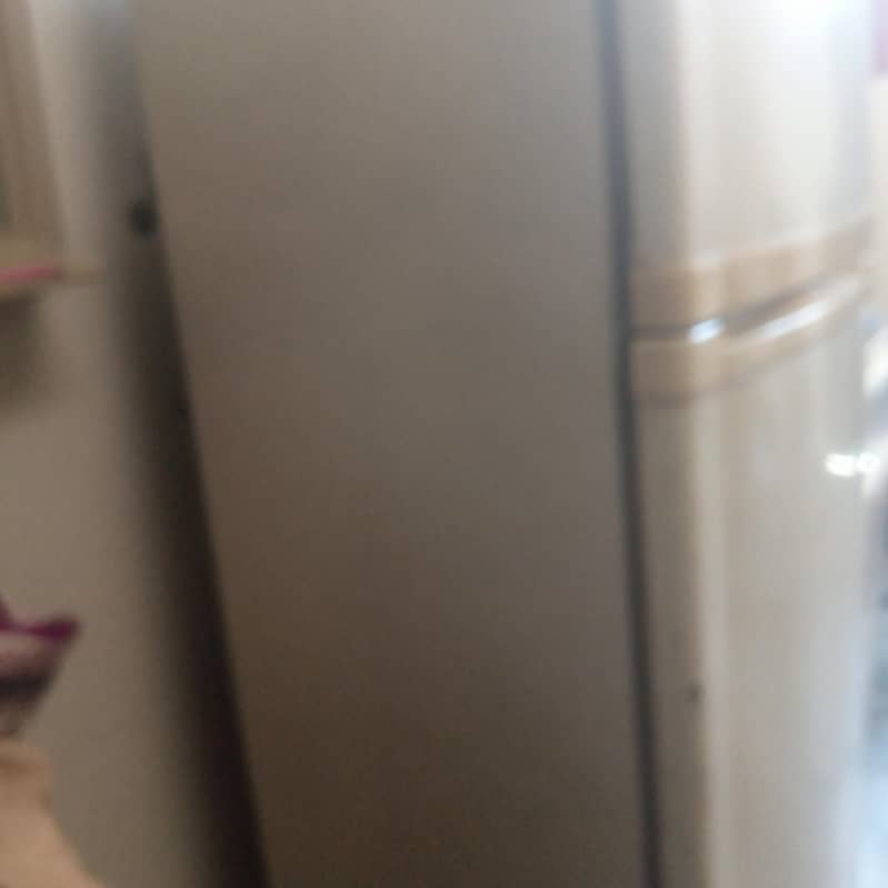 PELL Refrigerator 1