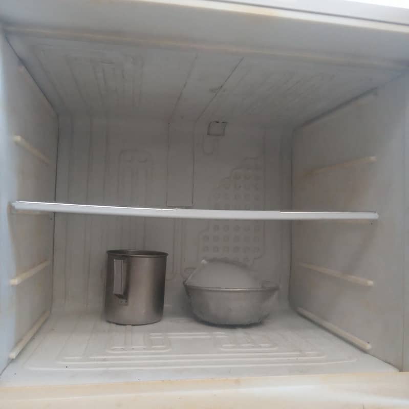 PELL Refrigerator 2