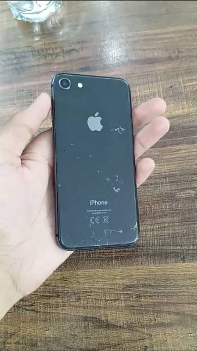 Iphone 8 Pta Approved