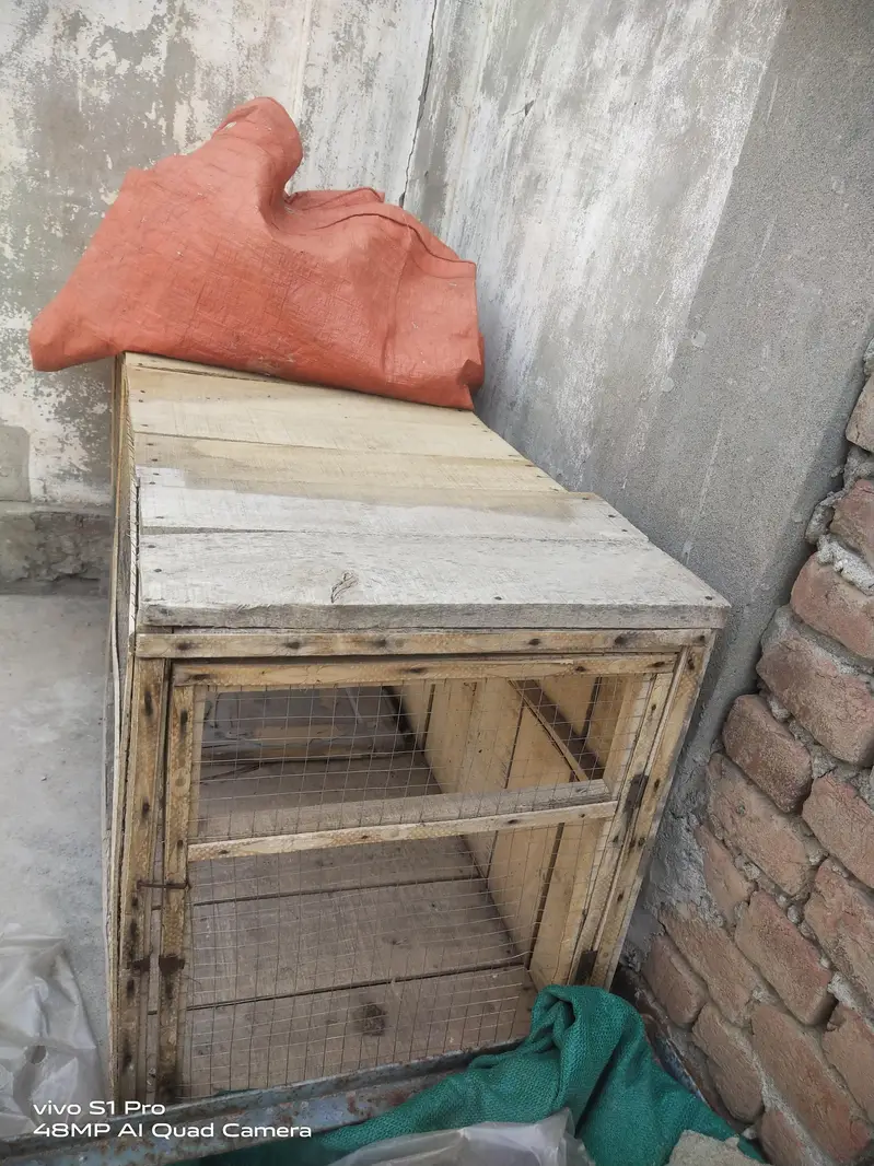 Big size cage — photo 2