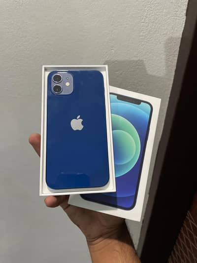 Iphone 12 256Gb Brand New
