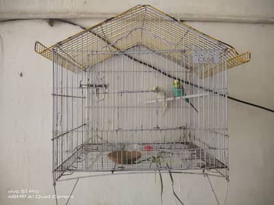 Cage all ok