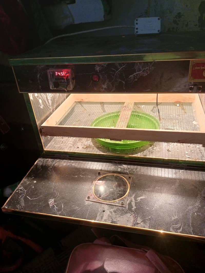 incubator 1