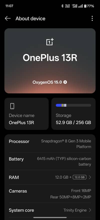 One Plus 13R