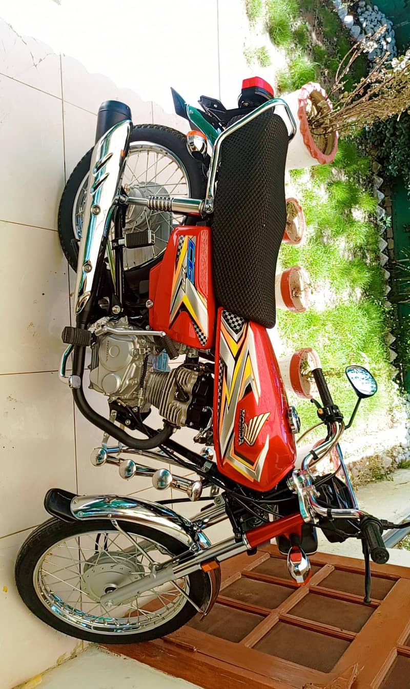 Condition Fresh 1