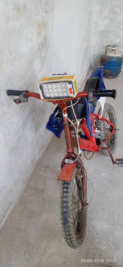 Custom  Bicycle for Childern