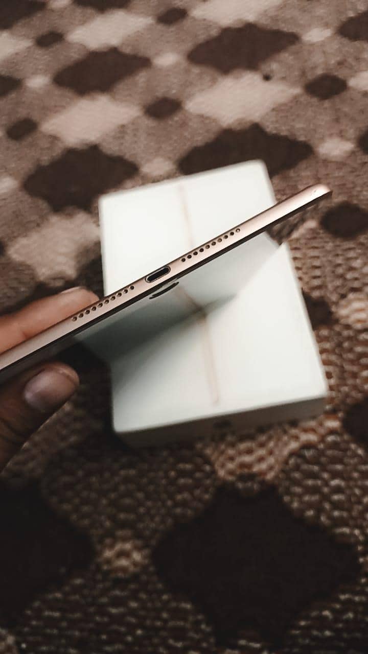 ipad mini 5 0