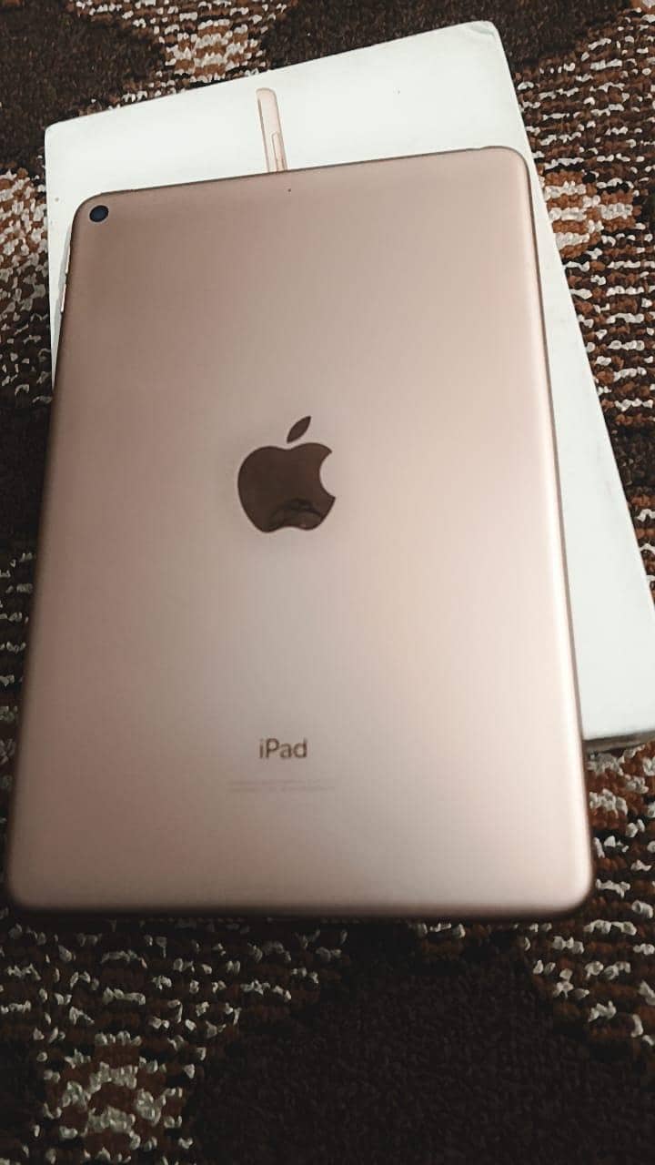 ipad mini 5 1