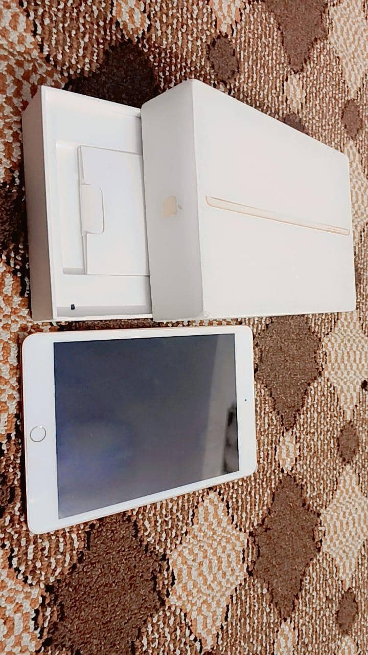 ipad mini 5 3