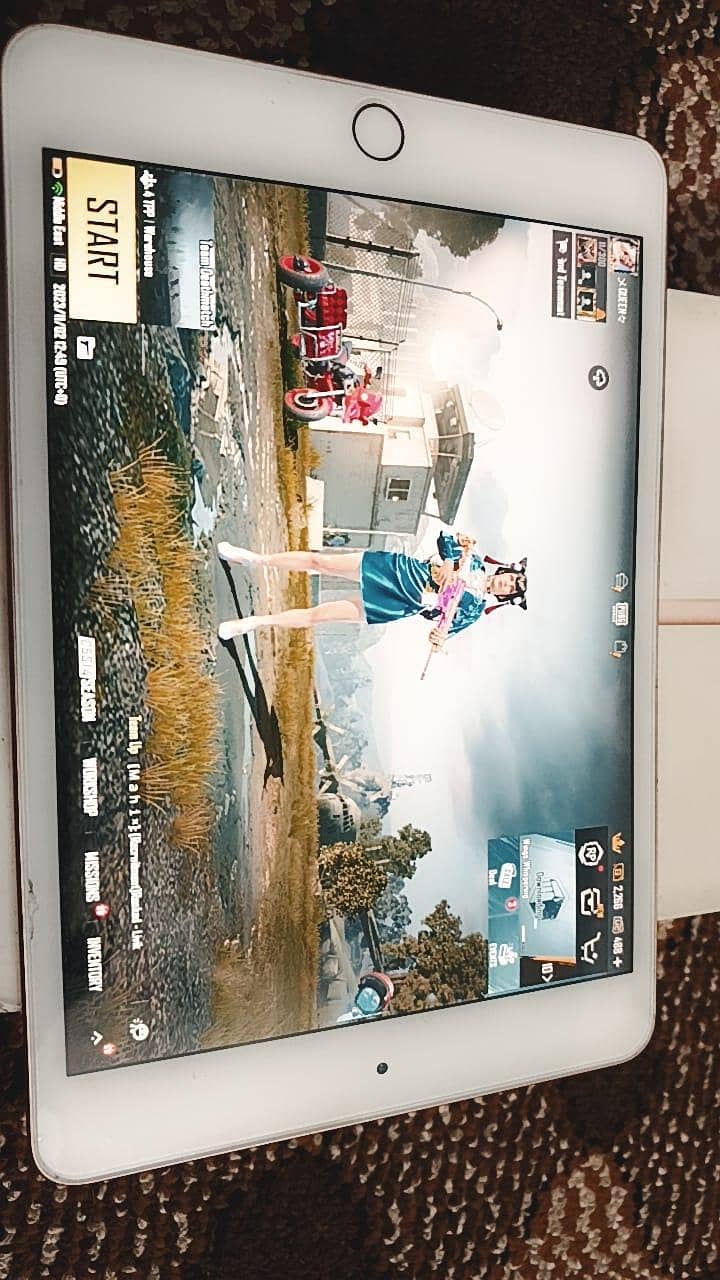 ipad mini 5 5