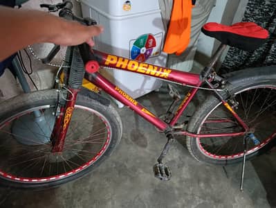 Phoenix Brand Bicycle in excellent condition 03075459177